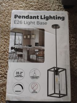 Pendant Light E26 Base Black Metal Cage