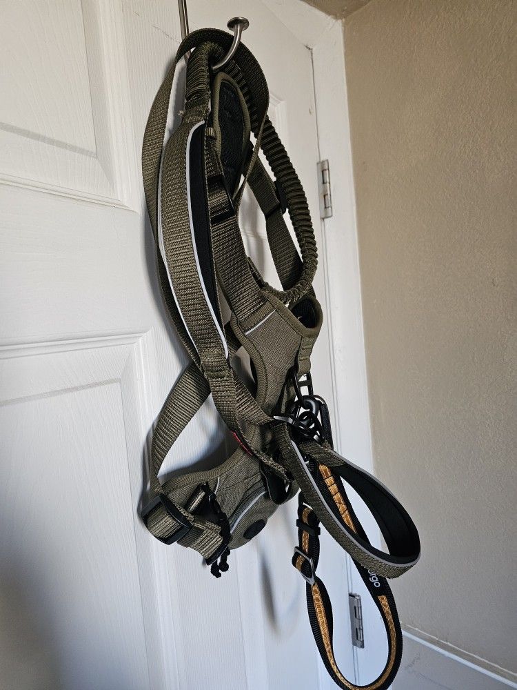 Kong Harness And Leash