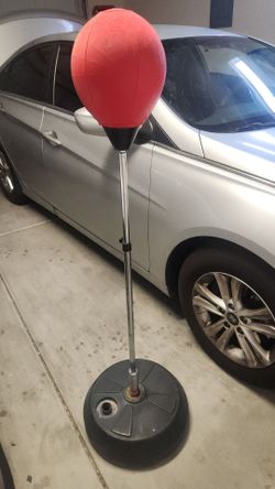 Speed bag