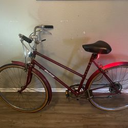 Old School RALEIGH bike