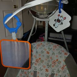 Ingenuity Baby Swing