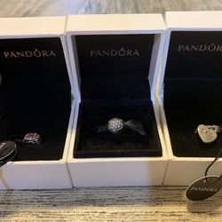 Pandora Charm/clip