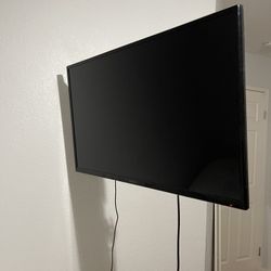Insignia TV & Roku. Wall Mount Included