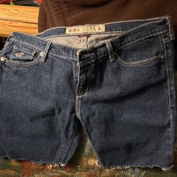 Hollister Size 5 L Shorts