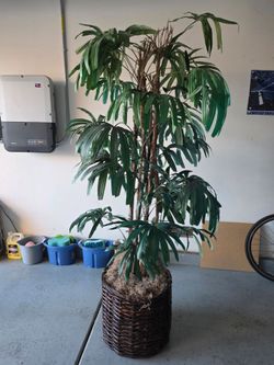 Indoor fake tree