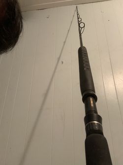 Seeker Rod Custom Built