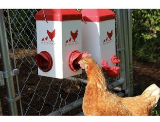  Chick2Chicken 5lb 2-Port Feeder and 1-Gal Small Cage Waterer Set - Suitable for Chicks, Chickens, Pigeons, Quail, Game Birds