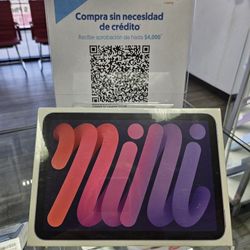 Ipad Mini 6th Gen WiFi Only 64gb 