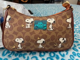 Snoopy purse