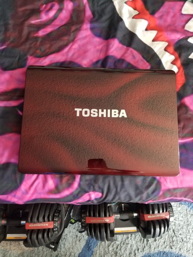Toshiba Satalite Laptop X205-Sli1