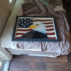 Eagle Portrait