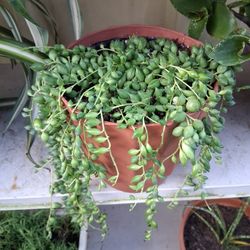 String of tears