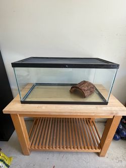 45-Gallon Terrarium or Aquarium