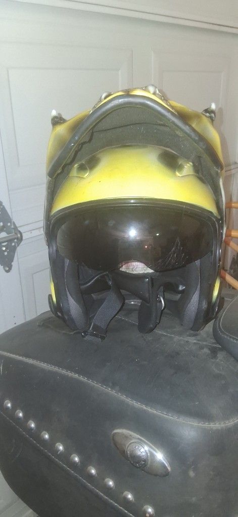 Custom Skull Face Helmet