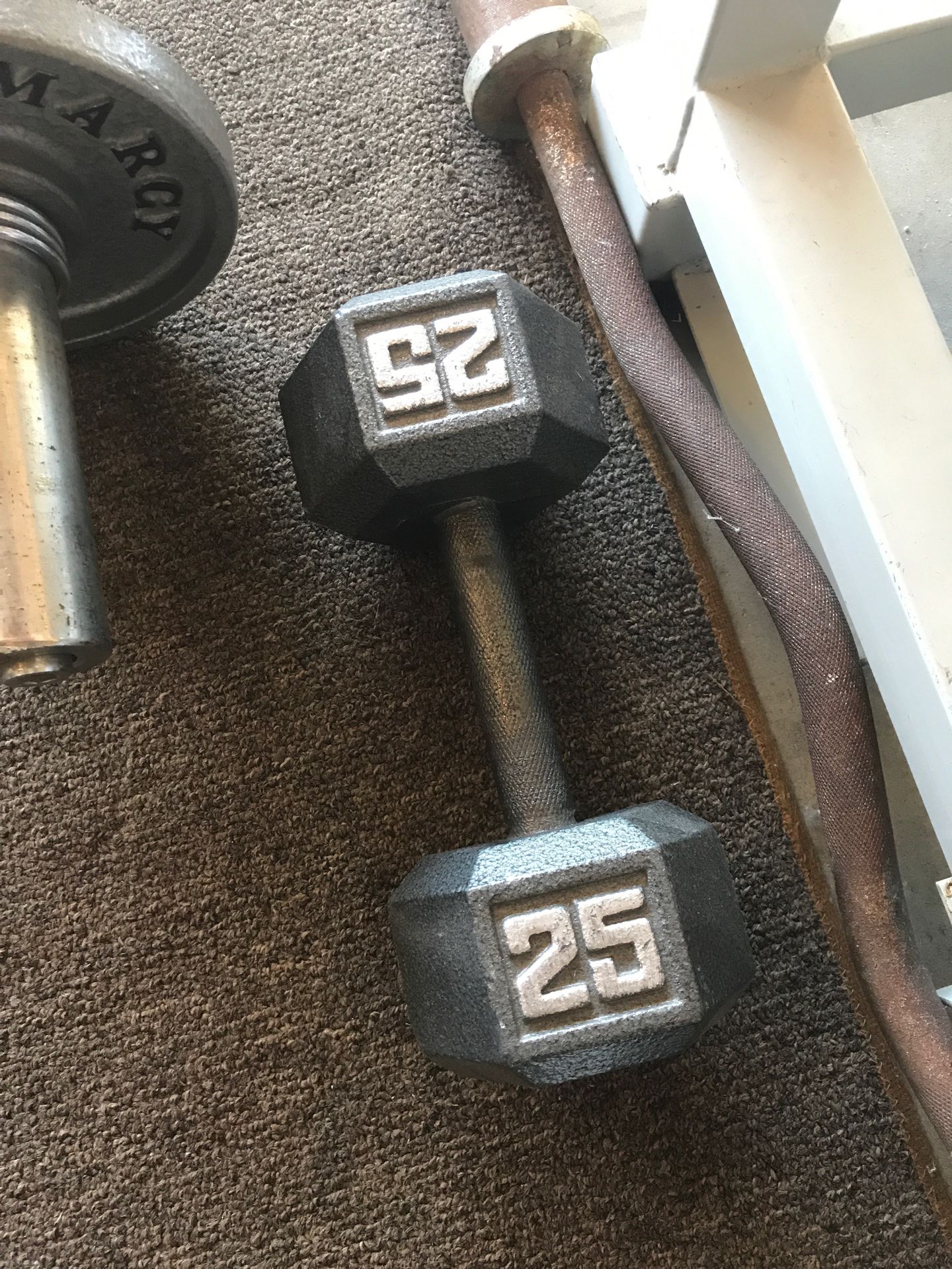 25 lb dumbbell