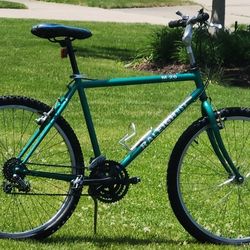 Raleigh diamondback mountain bike new arrivals