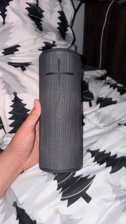 Black speaker