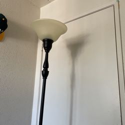 6ft Room Light