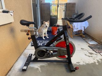 Sunny bike