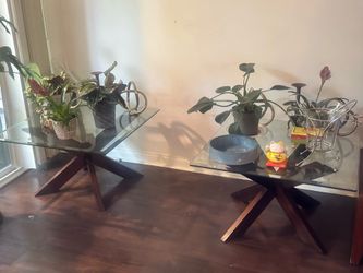 Modern Glass & Wood Side Tables – Matching Pair