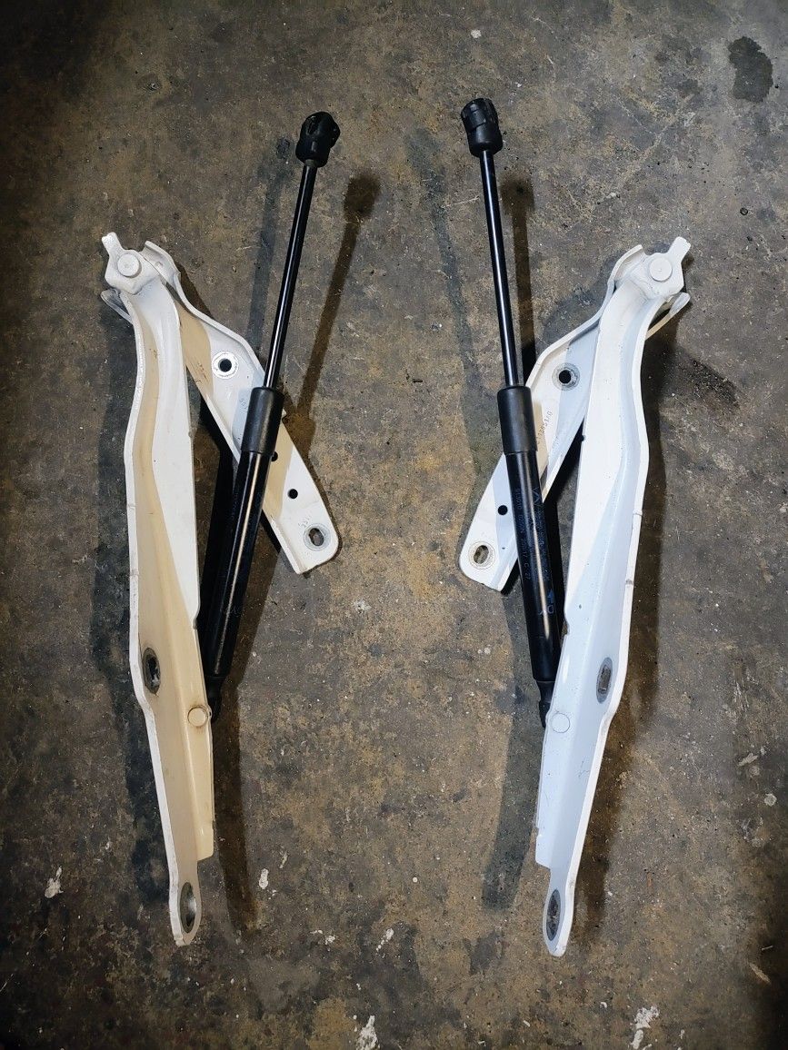 2015-2023 Dodge Charger Hellcat Srt 6.2l Lh Rh Hood Hinges Struts Assy