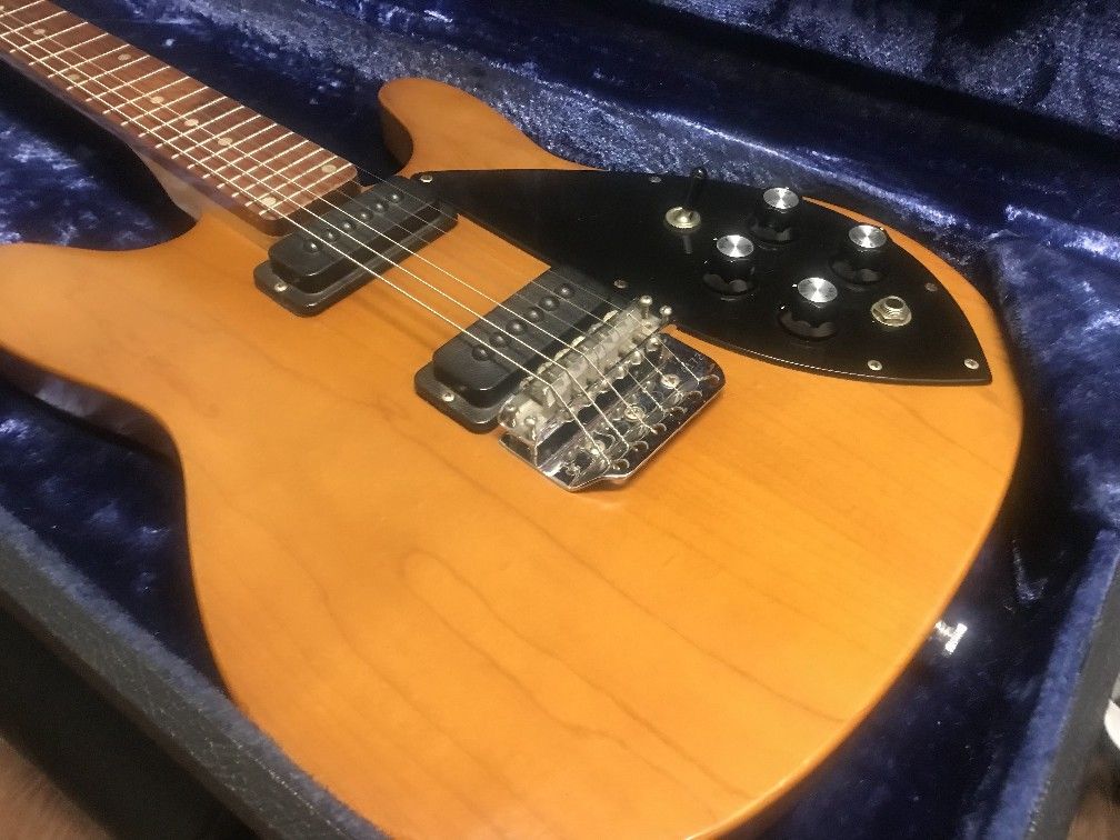 1975 Rickenbacker Vintage Electric Guitar With Original Hardshell Case!