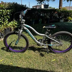 Schwinn bike