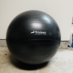 Exercise  Ball