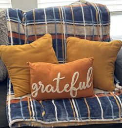 (3) Pillows & Matching Throw Blanket