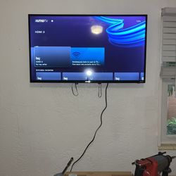 Tv Mount/TV on Your Wall