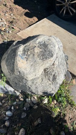Large Boulders/ Rocks -$25 Each