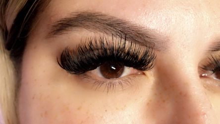 Lashes 