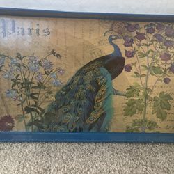 Peacock 🦚 Tray 