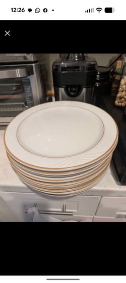 Pate de Limoges Plates
