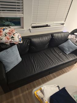 Fold out couch