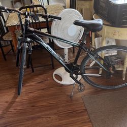 Schwinn Bike Mens