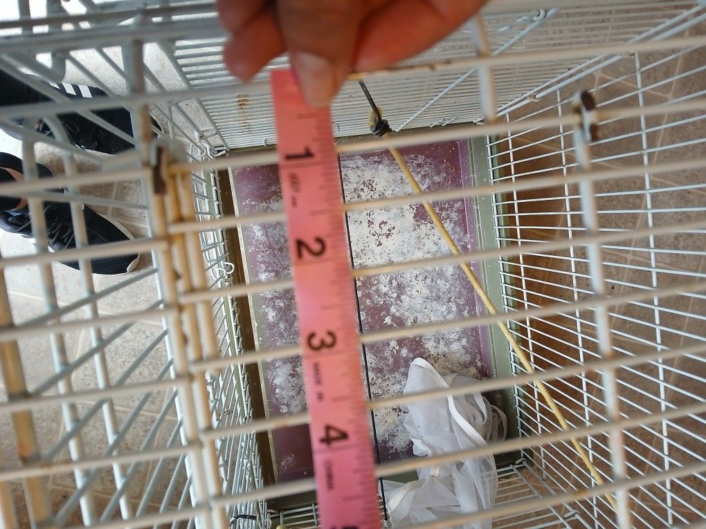 cage for small birds