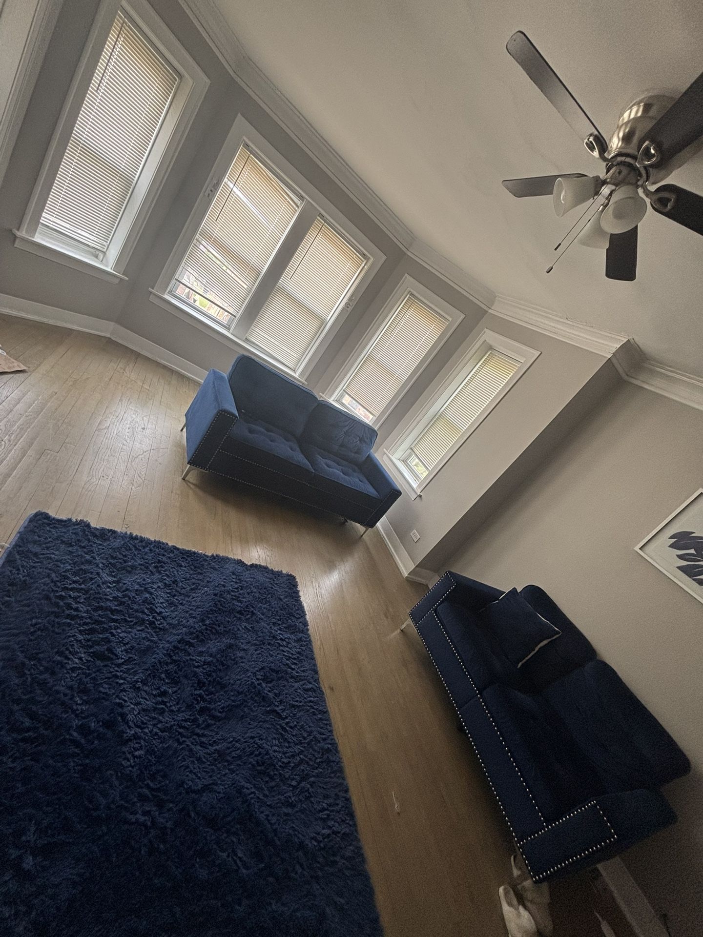 Blue Velvet Couch Set 