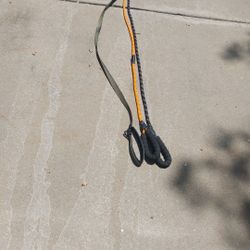 3 Dog Large Dog Leashes 