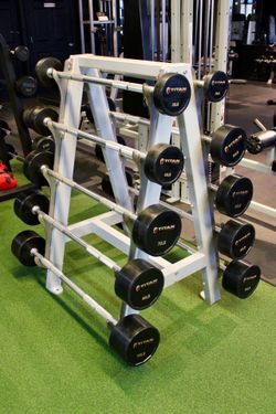 Fixed Bars and Rack 20-110 pounds - gym equipment