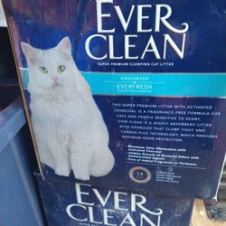 Ever Clean