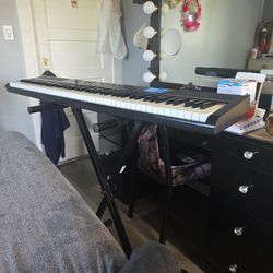 Electronics Electric Piano/organ