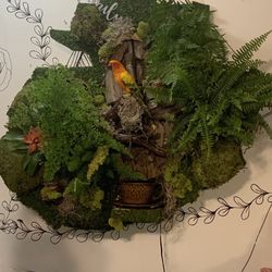 Wall Garden / Fountain 