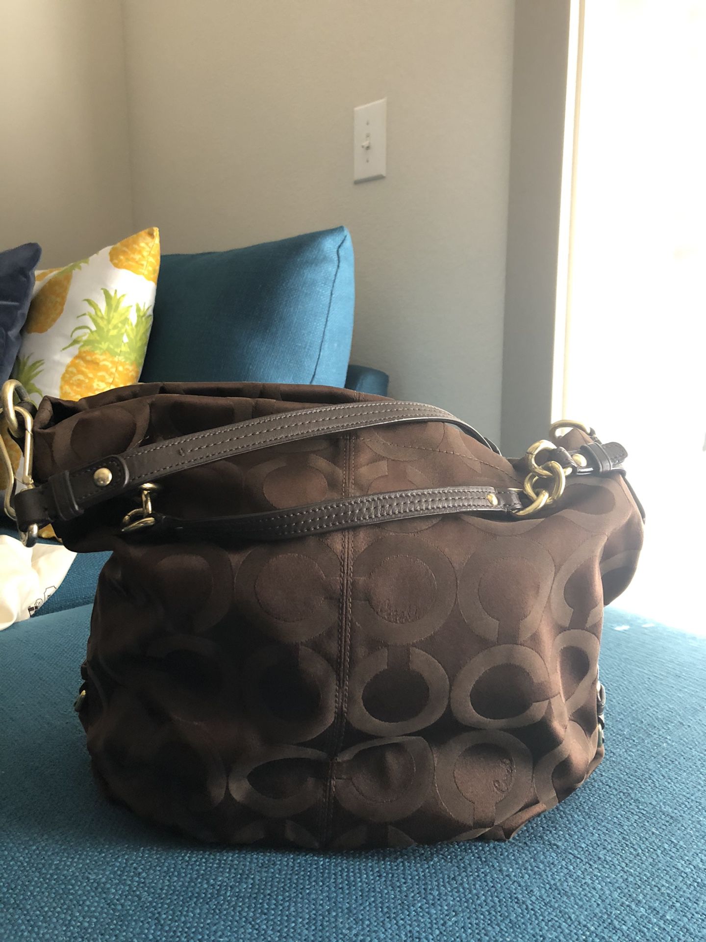 Coach hobo purse (Brown)