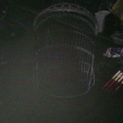 Egg Shell Wicker Hanging Chair