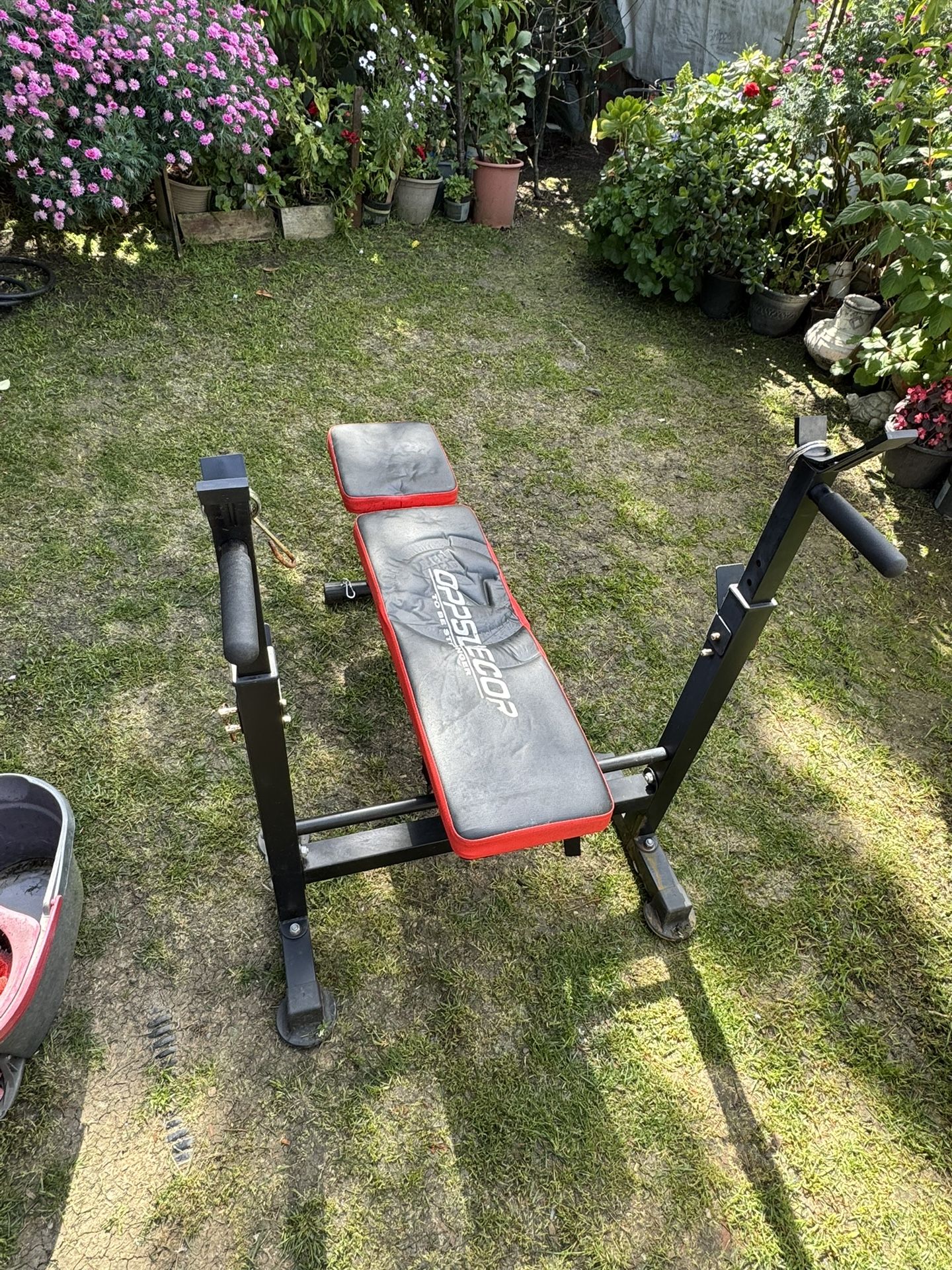 Workout Bench