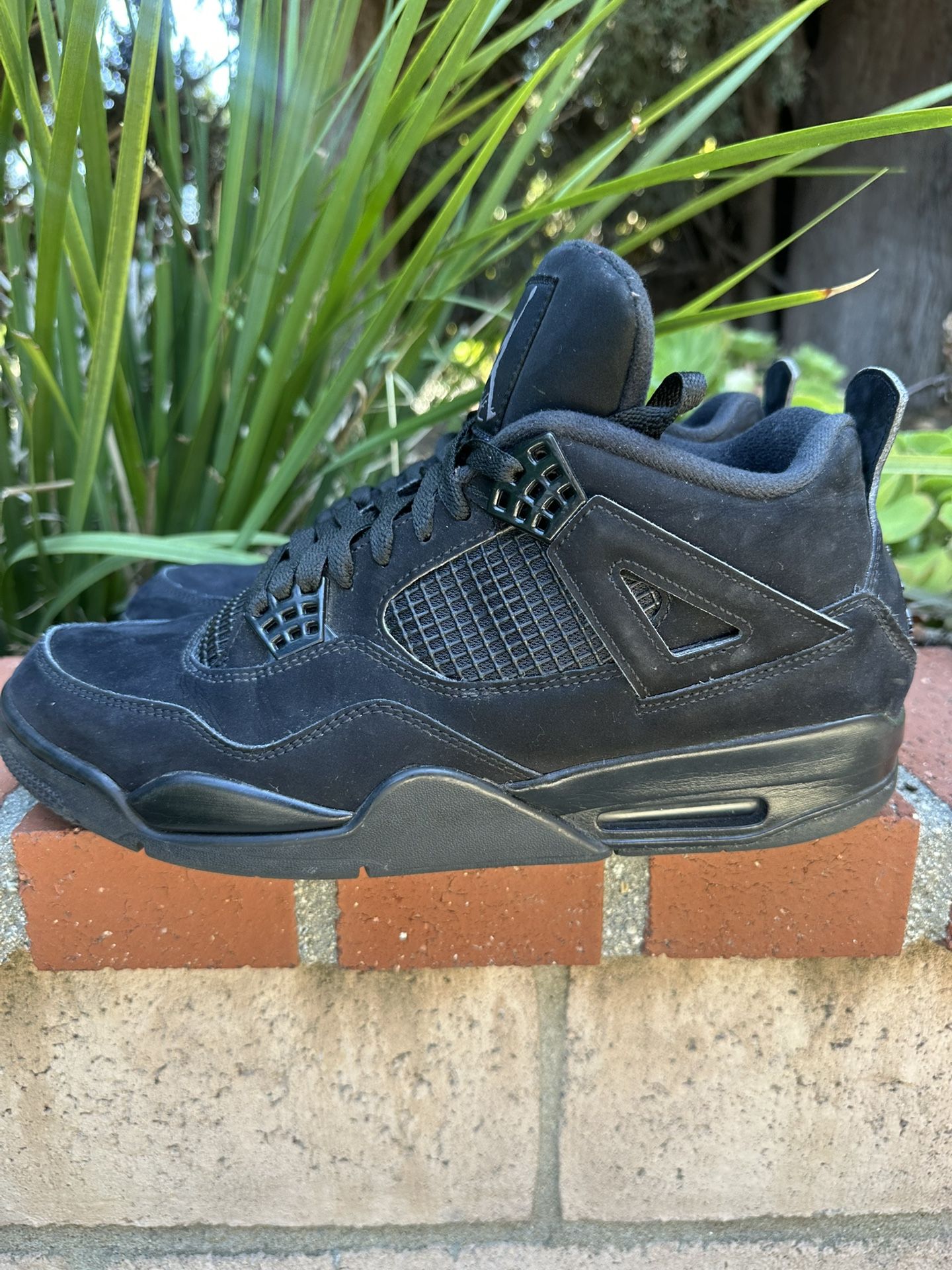 Jordan 4 Black Cat Size 12