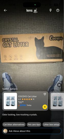 Cocoyo Crystal Cat Litter Box