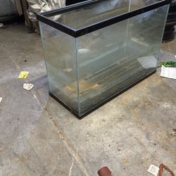 Fish Tank 55 Gallon
