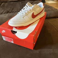 Brand New Size 10.5 Nike Dunk Low 